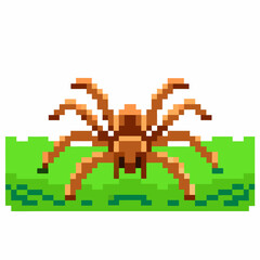 Fototapeta premium Pixel art spider on green grass block, 8 bit insect, retro game