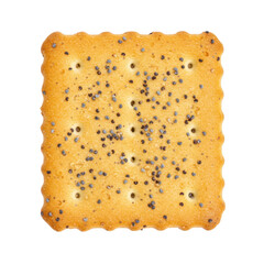 Square cracker with poppy seeds isolated on transparent background
