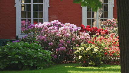 Fototapete bei efototapeten.de bestellen   