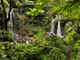 Cascading Waterfalls in Lush Forest: Capturing a refreshing scene, this photo shows pristine...