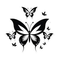 butterfly on a white background