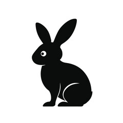 black rabbit isolated on white