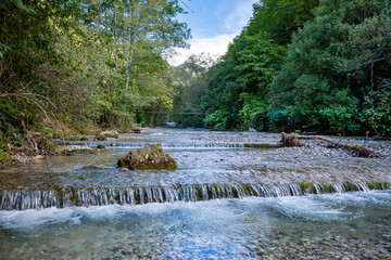 a mountain river flowing among green hills on a warm autumn evening. Small rapids decorate its...
