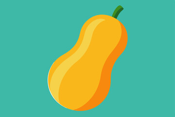 butternut squash  .svg