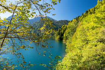 Beautiful view through tree branches on the famous lake Ritsa in the mountains of Abkhazia on a warm sunny day. Autumn  day