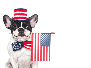 Cute puppy, bow tie, top hat and American Flag. Closeup, indoors. Studio shot. Congratulations for family, loved ones, relatives, friends and colleagues. Beauty and fashion concept. Pets care