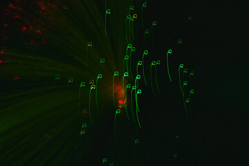 Abstract long exposure photography of red and green light trails