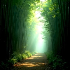 Obraz premium Pathway through a dense bamboo forest with light filtering through