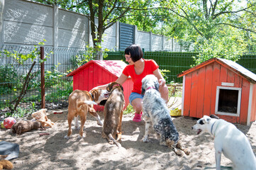 Group photo of rescued special needs dogs with their caregiver in their own fenced area  with sand and with their favorite toys for playing during free activities after therapies and exercises