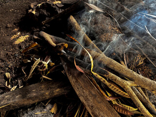 The Kindling Embrace: A rustic scene of smoldering kindling, with smoke elegantly rising, evoking feelings of warmth, the earthiness of nature's raw elements, and the simple beauty of a slow burn.