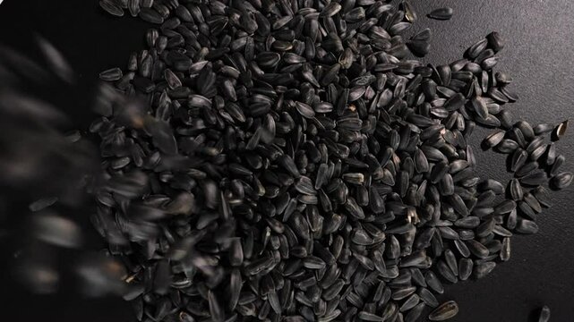 Top view. Fried black sunflower seeds pouring on a black table, in slow motion, spinning on a turntable in motion