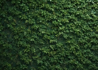 Obraz premium Intricate green organic lines form a complex, interwoven wallpaper pattern , organic, swirls