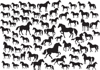 Fototapeta premium a collection of detailed black silhouette illustrations of horses in various poses: standing, walking, running, and rearing, creating a dynamic and varied equine motif