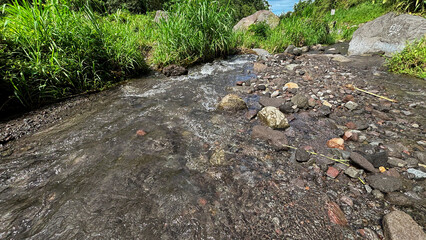 A Serene Stream: The crystal-clear water of a meandering stream flows gently over smooth stones, reflecting the vibrant green of the surrounding vegetation and creating a tranquil natural oasis.