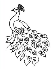 Fototapeta premium Elegant peacock line art drawing, suitable for coloring book or design inspiration