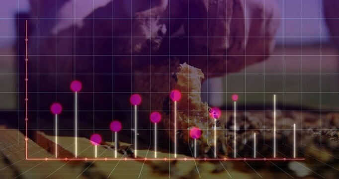 Hovering gloved hand lifting comb animating grid white bars and pink markers showing apiary data