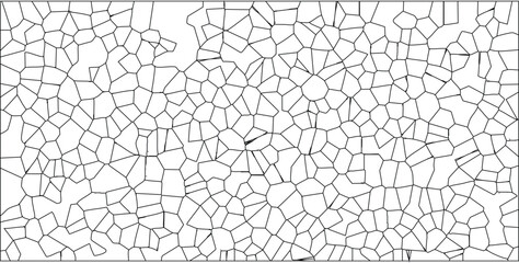 Abstract black and white geometric pattern cellular structure with irregular polygon shapes forming a complex organic textured design suitable for backgrounds.