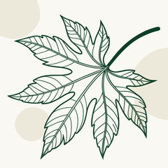 Elegant green leaf line art botanical illustration minimalist design