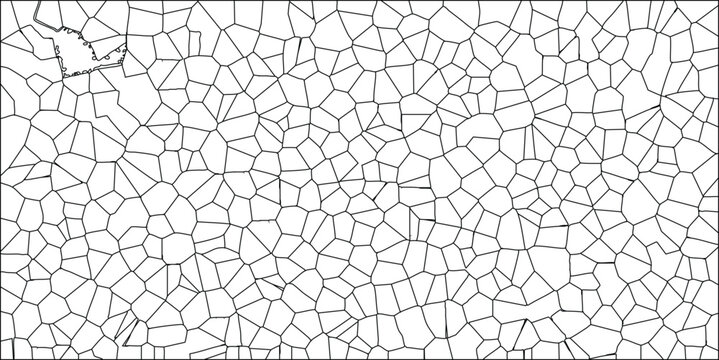 Abstract cellular pattern with geometric polygonal design in black and white for artistic or scientific applications