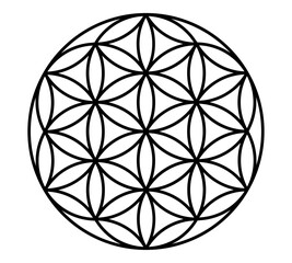 flower of life vector for background wallpaper template decoration symbol icon web tattoo logo. vector illustration
