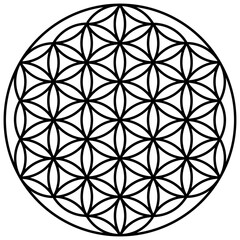 flower of life vector for background wallpaper template decoration symbol icon web tattoo logo. vector illustration