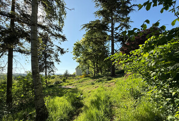 Sunlight filters through the lush green foliage of a forest clearing, casting dappled shadows on the vibrant grass below. Trees frame the path, leading the eye toward a small house in, Wothersome, UK