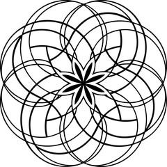 Obraz premium spider web vector