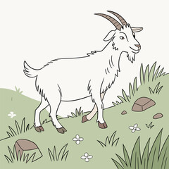 goat on meadow