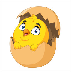 Cartoon chick born from egg