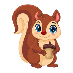 Cute little squirrel cartoon isolated on white background