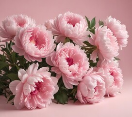 Dense cluster of blush pink peonies on a soft pink backdrop , peony,  floral design