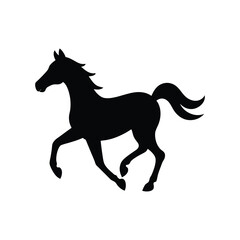 black horse isolated on white
