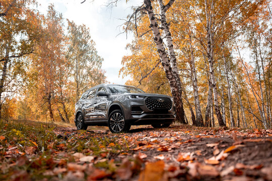 car in autumn forest Chery Tiggo 8 Pro Max is High-end smart business SUV