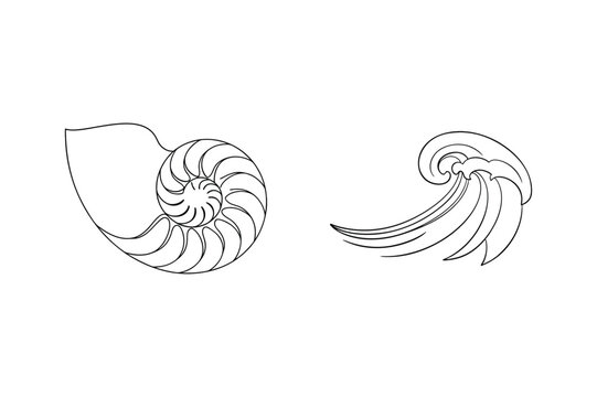 Elegant black and white vector illustrations of nautilus shell and abstract swirls