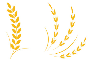Agriculture  wheat icon. Ear of wheat icon, wheat, barley, rye or rice grain icon vector in flat  style.