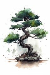 Watercolor Bonsai Tree Painting