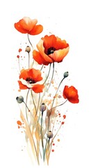 Watercolor Poppies with Seed Pods and Splatters