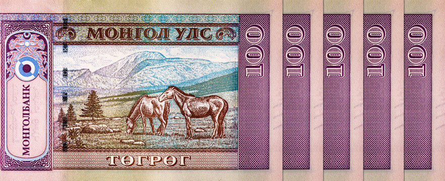 Banknote of 100 tugriks of Mongolia, fragment for design. Paper money of Mongolia.