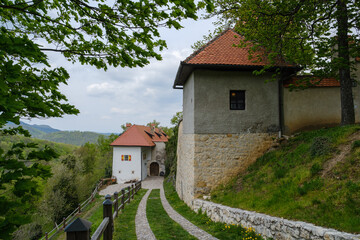 Podsreda castle in Slovenian woods