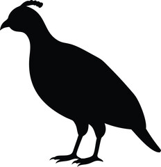 bird of quail silhouette