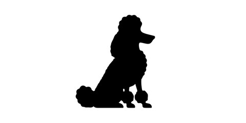 Detailed poodle silhouette sitting with decorative fur and formal pose
