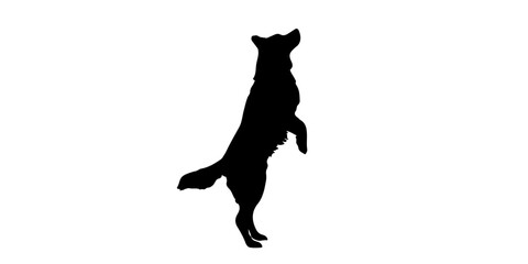 Standing dog silhouette on hind legs with upright tail and expressive form
