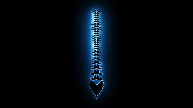 Neon glowing back spine icon on black background, futuristic digital anatomy illustration, orthopedic health symbol, medical technology concept, holographic human spine