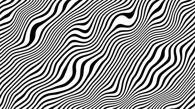 Black and white wavy lines motion background. Seamless looping animation 4K resolution stock video