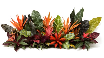 Obraz premium Vibrant tropical foliage arrangement against a plain background.
