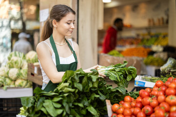 Young woman seller in apron puts fresh spinach on display at vegetable market