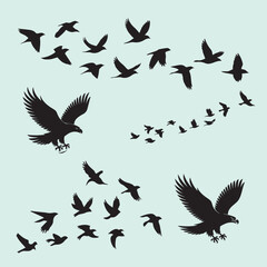 The Meaning and Symbolism Behind Different Birds