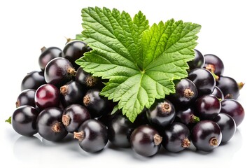 Fototapeta premium Fresh ripe blackcurrants with leaf on a white background closeup, blackcurrant, black currants, berries, currant, currants, fruit, fresh, ripe, healthy, food, vitamin, raw, dessert, background, isolat