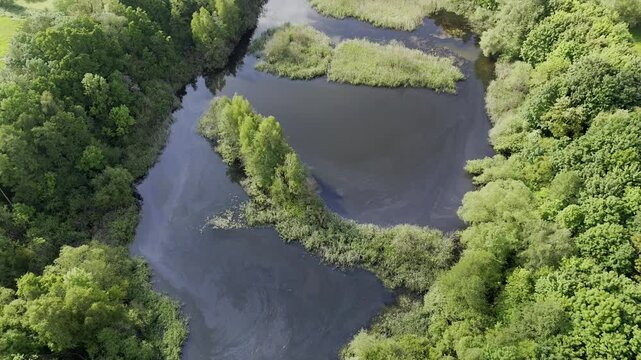 Aerial view of the Wyhraaue Borna, also known as "Kuhteich," near Borna in Saxony&mdash;lush wetlands and ponds surrounded by meadows and forest, ideal for nature, biodiversity, and recreation concepts.