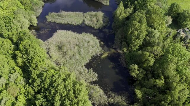 Aerial view of the Wyhraaue Borna, also known as "Kuhteich," near Borna in Saxony&mdash;lush wetlands and ponds surrounded by meadows and forest, ideal for nature, biodiversity, and recreation concepts.